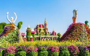 Billets coupe-file pour le Dubai Miracle Garden
