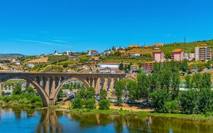 Visite guidée de la vallée historique du Douro avec croisière d'une heure sur le Pinhão, déjeuner traditionnel et dégustations de vins