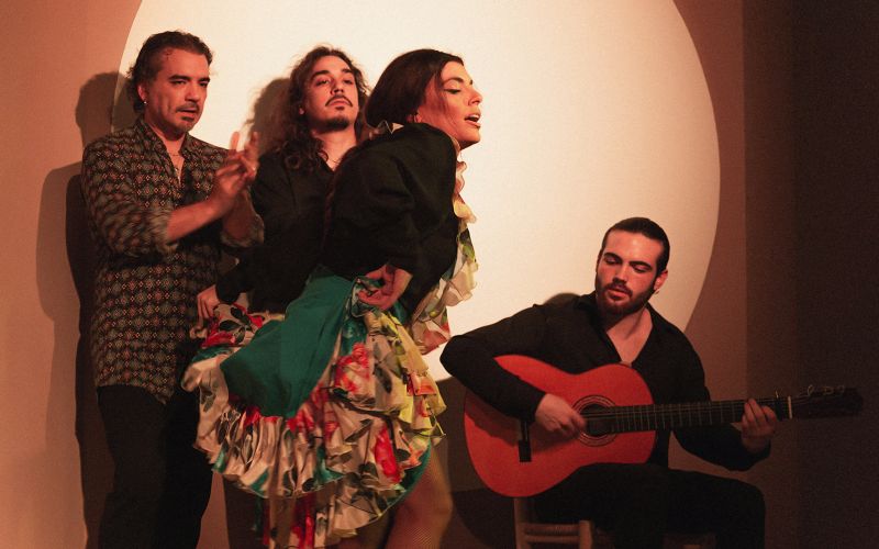 Centre culturel - Spectacle de flamenco