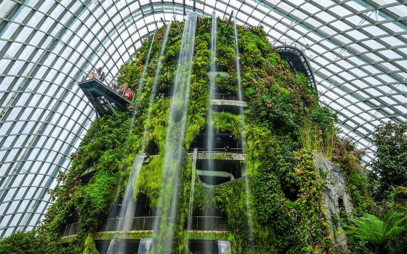 Billets pour Gardens by the Bay : Cloud Forest (Jurassic World Experience) + Flower Dome
