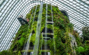 Billets pour Gardens by the Bay : Cloud Forest (Jurassic World Experience) + Flower Dome