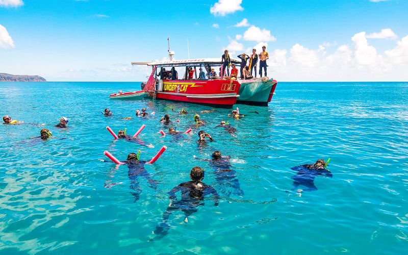 Airlie Beach : Croisière de plongée en tuba sur la plage de Whitehaven avec visite de Hill Inlet et déjeuner buffet.