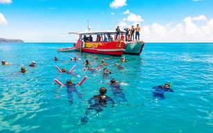 Airlie Beach : Croisière de plongée en tuba sur la plage de Whitehaven avec visite de Hill Inlet et déjeuner buffet.
