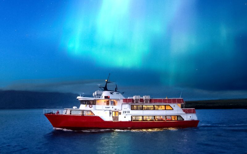 Reykjavik : Croisière touristique aux aurores boréales