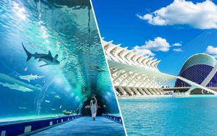 Combo : Billets pour l'Oceanogràfic + Musée des Sciences