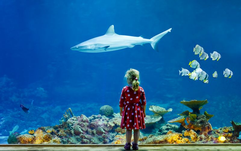 Billets d'accès prioritaire à l'Aquarium de Paris
