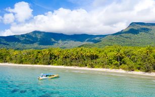 À partir de Cape Tribulation : Visite guidée de la Grande Barrière de Corail avec masque et tuba et Eco Tour