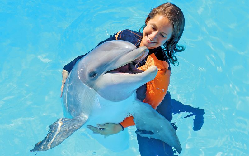 Expérience émotions avec les dauphins à Zoomarine avec billets d'entrée