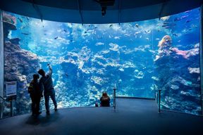 Billets pour l'Académie des Sciences de Californie à San Francisco