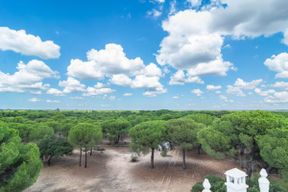 Excursion au Parc National de Doñana depuis Séville