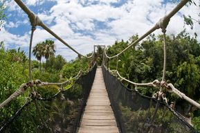 Billets pour Jungle Park à Tenerife