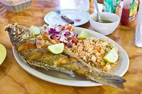 Tour gastronomique à Cozumel