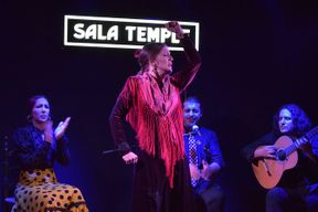 Spectacle de flamenco à la Sala Temple à Madrid