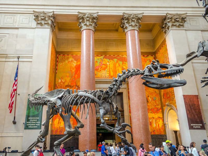 Billets pour le Musée Américain d'Histoire Naturelle de New York