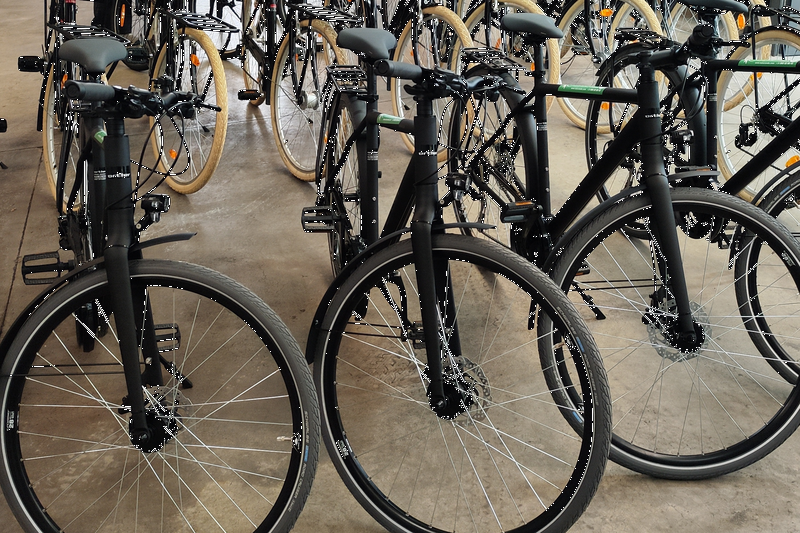 Location de vélos à Séville