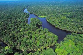 Excursion de 3 jours au Parc National de Tortuguero depuis San José