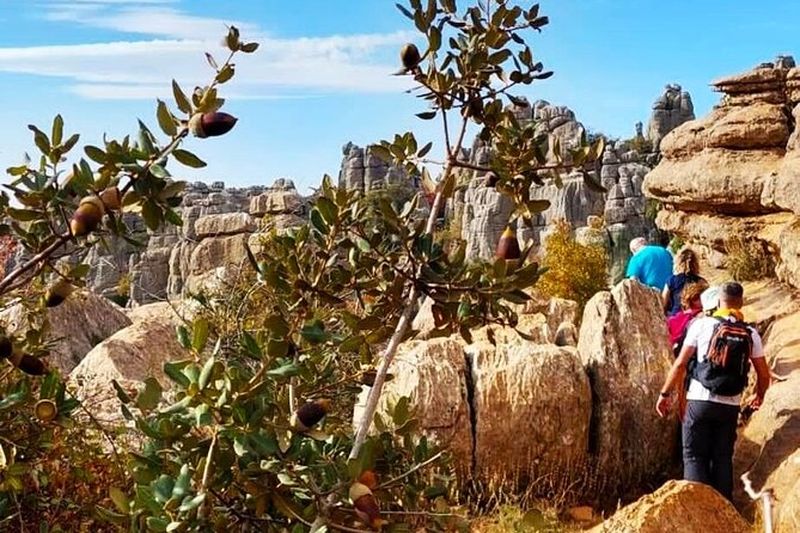 Excursion à Antequera et au Torcal depuis Malaga