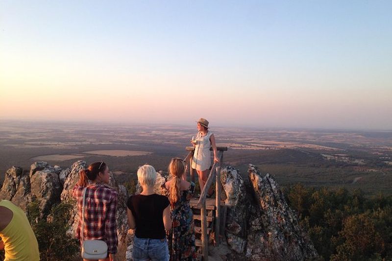 Excursion à Ribera del Duero depuis Madrid en petit groupe