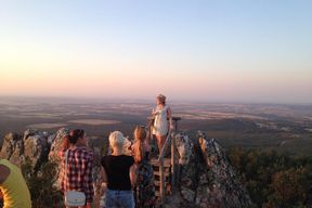 Excursion à Ribera del Duero depuis Madrid en petit groupe