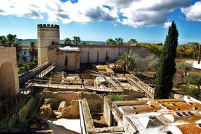 Visite guidée de l'Alcázar et de la Cathédrale de Jerez