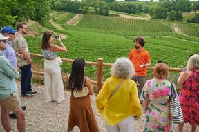 Dégustation de vins à Saint-Émilion