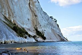 Excursion d'une journée aux falaises de Møns Klint depuis Copenhague