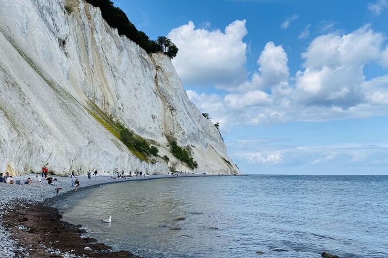 Excursion d'une journée aux falaises de Møns Klint depuis Copenhague