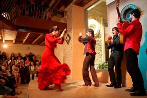 Spectacle de flamenco à la Casa de la Memoria de Séville