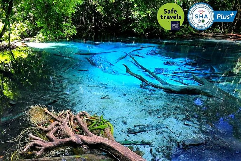 Excursion au Temple du Tigre, à la Piscine Émeraude et aux sources thermales depuis Krabi