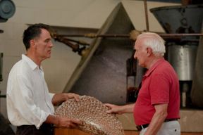 Visite d'une oliveraie avec dégustation d'huile à Majorque