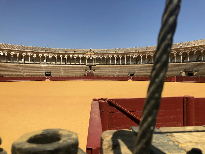 Visite guidée de la Plaza de Toros de La Real Maestranza à Séville