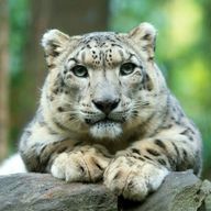 Billets pour le zoo de Central Park