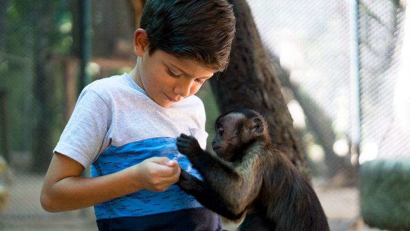 Balade en quad à Akumal avec visite du sanctuaire des singes et baignade dans un cénote