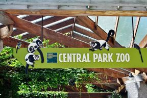 Visite guidée de Manhattan avec entrée au zoo de Central Park