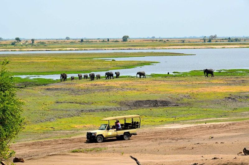 Safari 4x4 dans le parc national de Chobe depuis Kasane