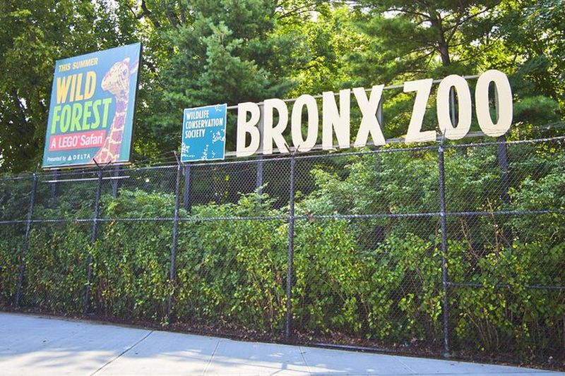Billets coupe-file pour le zoo du Bronx avec transferts privés