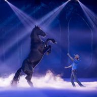 Dîner avec spectacle Australian Outback Spectacular à Oxenford