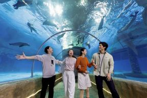 Billets pour Ocean Park à Hong Kong