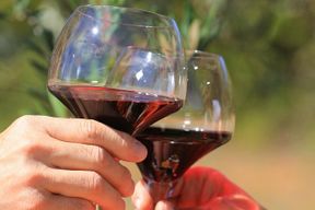 Visite de vin à Châteauneuf-du-Pape depuis Avignon