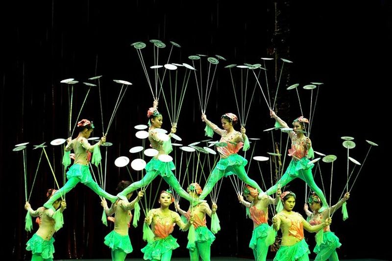 Billets pour un spectacle d'acrobates et visite nocturne de Shanghai