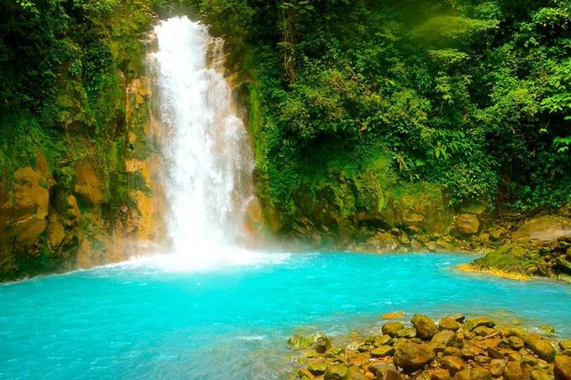 Randonnée au Río Celeste, sanctuaire des paresseux et cascade des Llanos de Cortés à Tamarindo