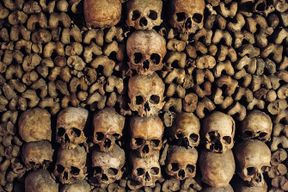 Visite guidée des Catacombes de Paris avec accès spécial