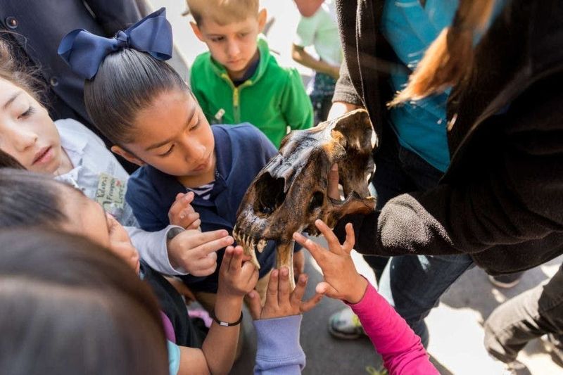 Billets pour le Musée La Brea Tar Pits à Los Angeles