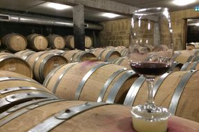 Dégustation de vins et fromages dans la vallée du Rhône