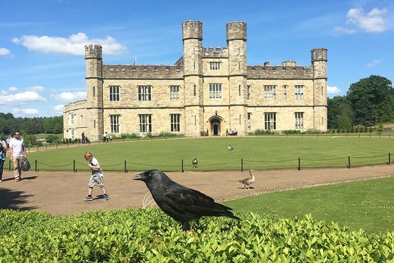 Excursion privée d'une journée au château de Leeds au départ de Londres