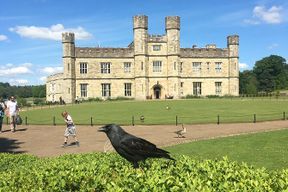 Excursion privée d'une journée au château de Leeds au départ de Londres