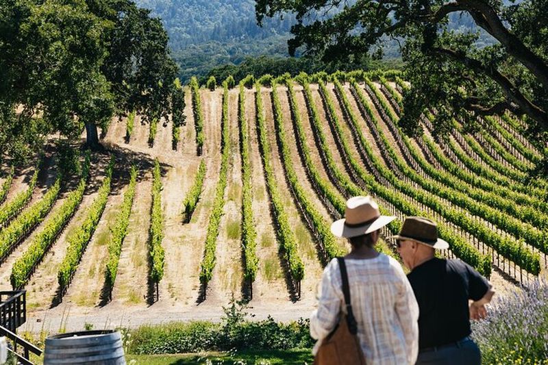 Excursion viticole dans les vallées de Napa et Sonoma au départ de San Francisco