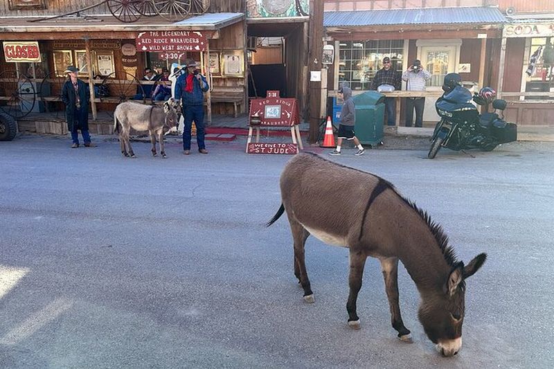 Excursion à Oatman et au Musée de la Route 66 depuis Kingman