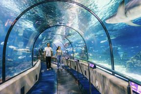 Billets flexibles pour l'Aquarium de Barcelone (sans date ni heure programmées)