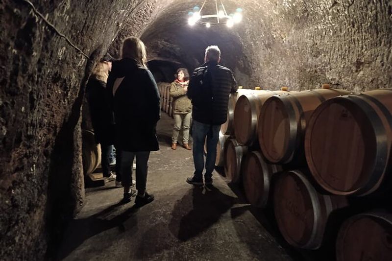 Excursion aux caves de la Ribera del Duero depuis Madrid